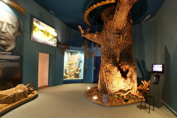 Dům přírody Třeboňska. Foto: ©www.dumprirody.cz