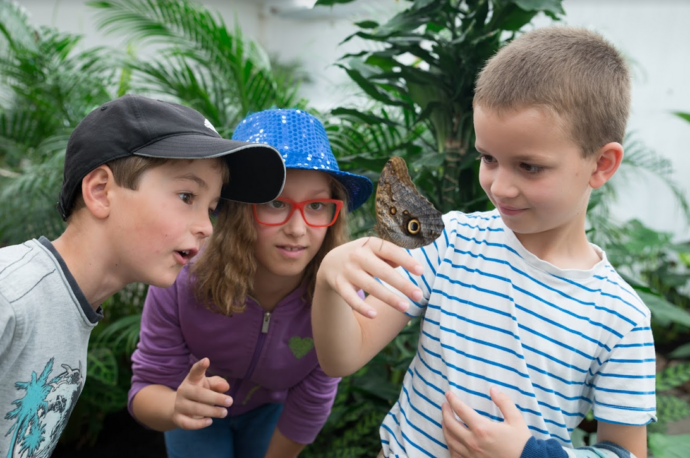 Motýlí dům. Foto: ©Živý kraj – Destinační agentura pro Karlovarský kraj