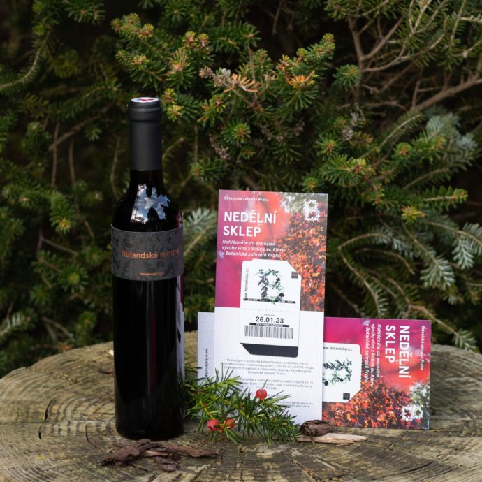 Foto: ©Botanická zahrada Praha