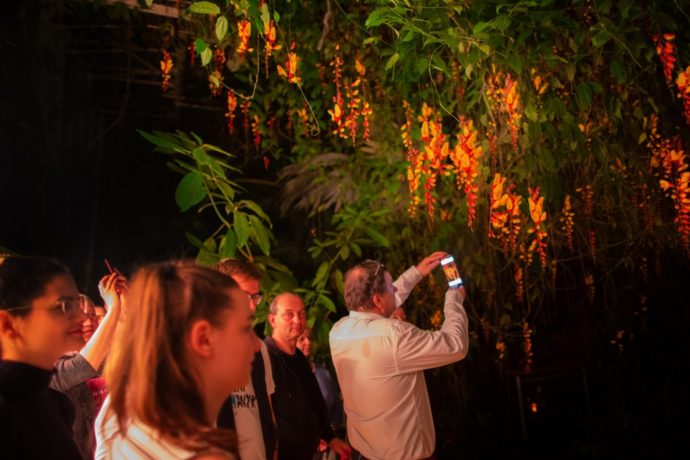 Foto: ©Botanická zahrada Praha