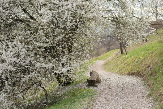  Foto: ©Boranická zahrada Praha