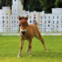 Miniaturpark Boheminium