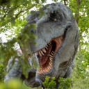 DinoPark a Zoo Plzeň jsou nerozlučná dvojka!