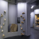 Nádhera a pestrost drahých kamenů, zábava, akce i poučení – to je Muzeum Českého ráje v Turnově