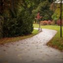 Výstaviště Flora Olomouc