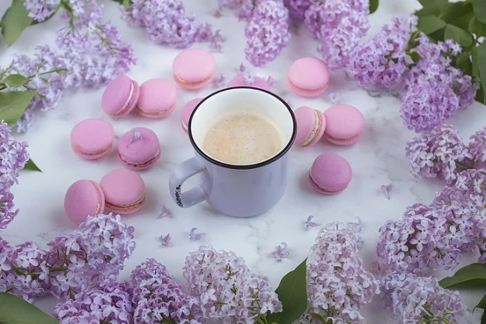 Léto v Levandulovém údolí – prázdniny pro duši