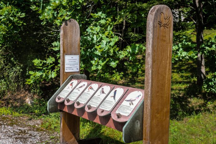 Foto: ©Přírodovědné muzeum Semenec 