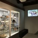 Muzeum Šipka Štramberk