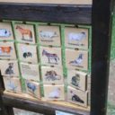 Navštivte Vsetín a vydejte se po „Magických vsetínských osmičkách“