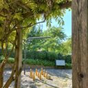 Nadace Leoše Janáčka podporuje šíření povědomí o životě a díle tohoto umělce