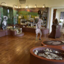 Muzeum Mladoboleslavska