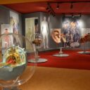 Muzeum dr. Aleše Hrdličky vám představí celou řadu zajímavých expozic