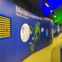 Mendelovo muzeum Masarykovy univerzity. Poznejte místo, kde se před 200 lety zrodila genetika!