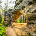 Zkuste život na farmě v Máchově kraji