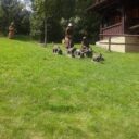 FB_IMG_1675755589381