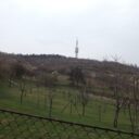 uzivatele-adenike-strazovice-1.jpg
