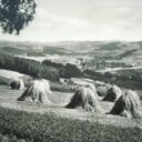 uzivatele-brezinycboxcz-teleci-repro-cb-foto-006_1.jpg