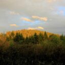 uzivatele-med61-mirkovice-img_9381_1.jpg