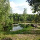 uzivatele-thorus-belec_nad_orlici-2.jpg
