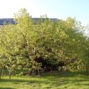 uzivatele-vlasta79-kamenice_nad_lipou-a24.jpg