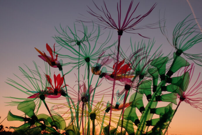 Zima a Vánoce v botanické zahradě v Troji vás okouzlí