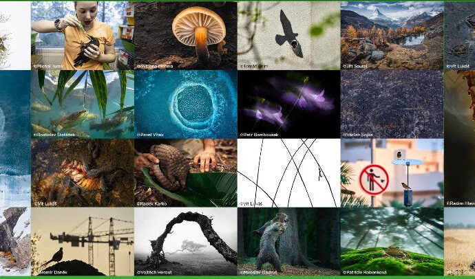 Přihlašování do 8. ročníku Czech Nature Photo odstartovalo