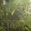 Fata Morgana. Foto © Botanická zahrada