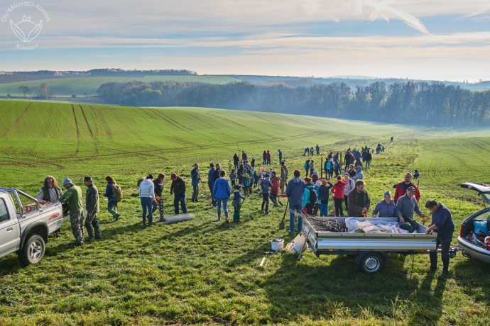 Pomozte změřit výsledky společného úsilí o lepší budoucnost. Zasaďte strom a zaregistrujte ho