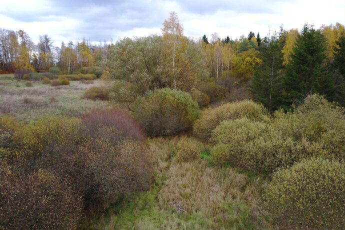 Sbírka pro záchranu mokřadů Na Skřivánku pokračuje