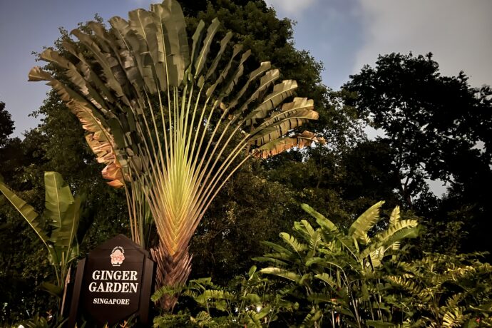 Botanická zahrada opět nabídne oblíbené přednášky pro veřejnost