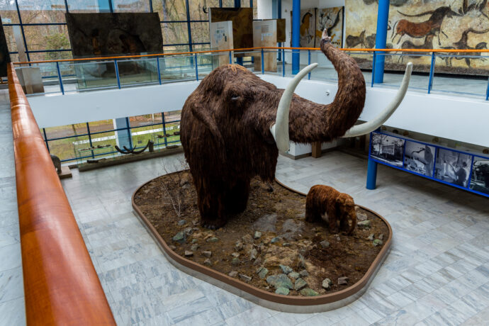 Mamut. Foto: ©Moravské zemské muzeum
