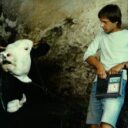 Legendární Slunce, seno, jahody se po 40 letech vrací do Hoštic