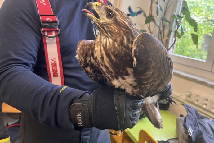 Hasiči z Jihomoravského kraje absolvovali v Zoo Brno kurz manipulace se zvířaty