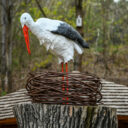 Stezka čápa Vodňana. Foto: ©Píseckem
