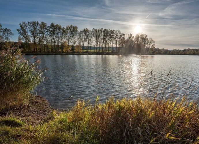 Poklidná procházka kolem Břevnické nádrže