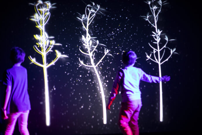 Výstava světel. Foto: ©Galerie Lumia