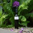 Botanická zahrada Praha