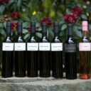 Botanická zahrada Praha