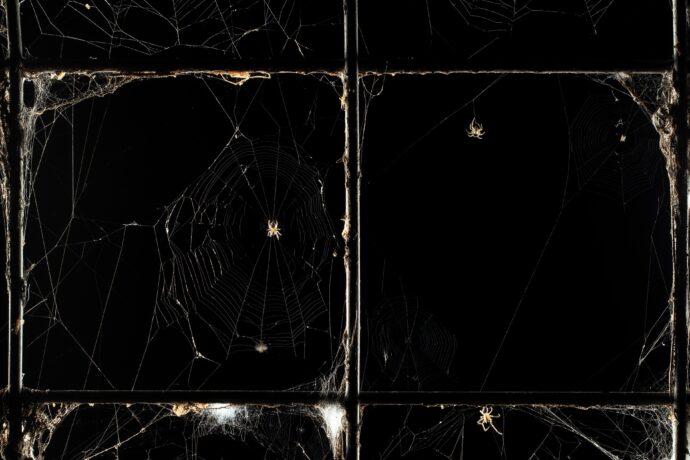 Pohled do tajemného světa se stal Fotografií roku osmého ročníku Czech Nature Photo