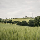 Kammweg_19.06.23_Dirk_Rueckschloss