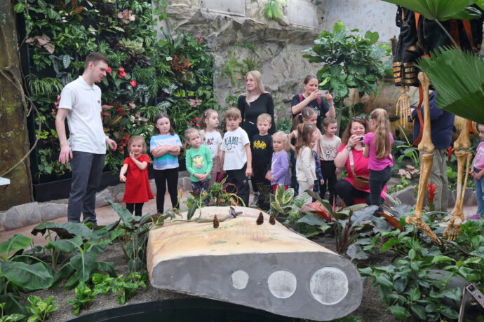 Papilonia - motýlí dům Liberec. Foto: ©Papilonia Liberec