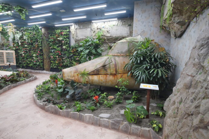 Papilonia - motýlí dům Liberec. Foto: ©Papilonia Liberec