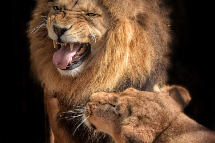 Foto: ©Zoopark Olovnice