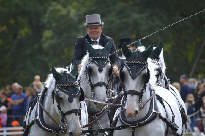 Koně na Kačině. Foto © NZM