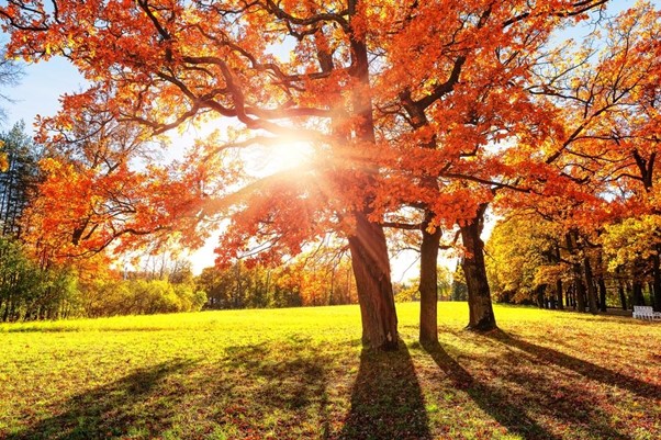 Jak se připravit na podzimní výlety