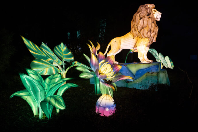 Světelná zoo začala. Vyrazte s dětmi za nezapomenutelným zážitkem