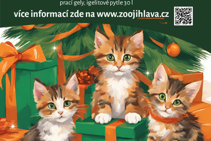 Vánočky pro kočky – pomáhejte opuštěným chlupáčům