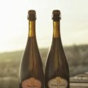 Foto: ©Botanická zahrada Praha