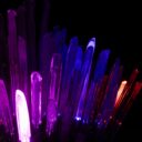 Foto: ©Botanická zahrada Praha