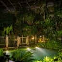 Foto: ©Botanická zahrada Praha